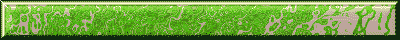 banner.gif (5717 bytes)